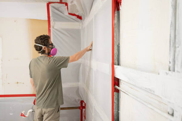 Best Emergency Mold Remediation  in Astor, FL
