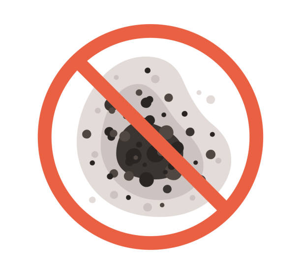 Professional Mold Removal in Astor, FL