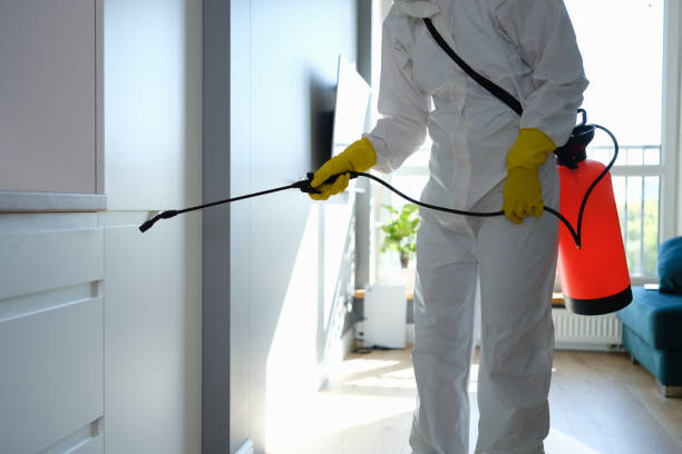 Best Post-Remediation Verification Testing  in Astor, FL