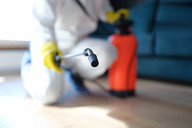 Best Biohazard Mold Removal  in Astor, FL
