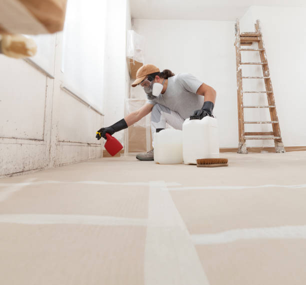 Best Indoor Air Quality Assessment  in Astor, FL