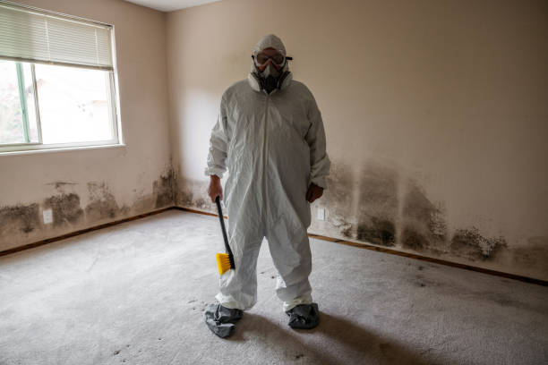 Best Residential Mold Inspection & Testing  in Astor, FL